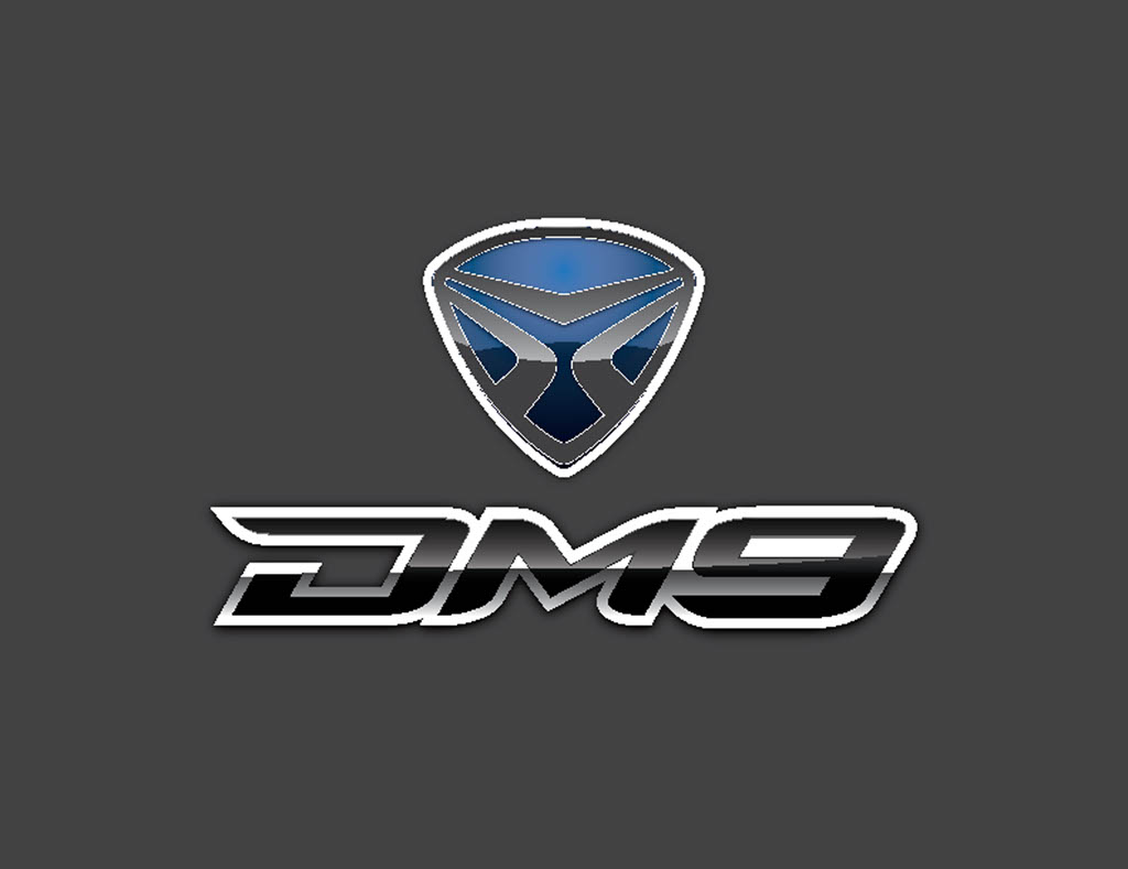 DM9 Vector